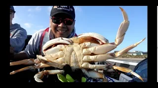 Crabbing on the Oregon coast - catching big crab with a crab hawk - underwater crabbing video