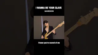 #maneskin #iwannabeyours #bassist #bass #cover #fyp #rockstar #band