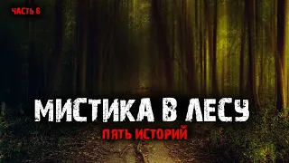 Мистика в лесу (5в1) Выпуск №6.