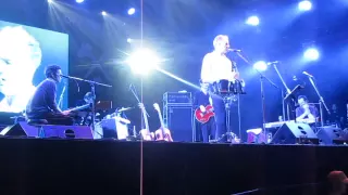 Mick Harvey 2 * live @ Off Katowice 2015