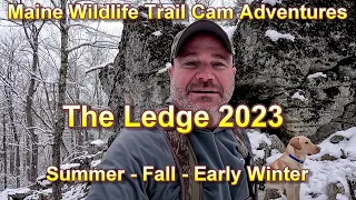 Wildlife Trail Cam Videos | Ledge Cam 2023 Part 2 | Bobcats, Bucks, Coyotes, and More!