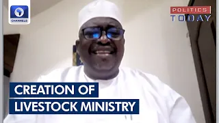 Livestock Ministry: Why Nigerians Should Not Be Worried - Expert | Politics Today