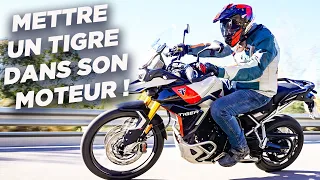 Triumph Tiger 900, le retour du Tigre