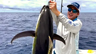 Hot COSTA RICA Yellowfin Tuna Bite! Catch Clean Cook