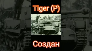 Ветка Maus в реальной жизни #shorts #wotblitz