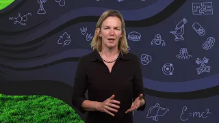 Effects of nanomaterials on organisms and ecosystems | Martina Vijver | TEDxBoerhaavedistrictStudio