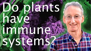 How plant immune systems protect them from disease - Jonathan Jones 🦠😷