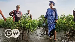 Mitbestimmung beim Klimaschutz in Senegal? | DW Deutsch