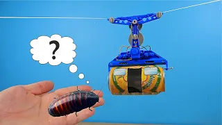 Made a real cable car for the Madagascar Cockroach! He's shocked!