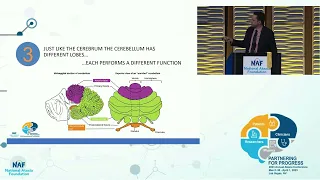 Neuropsychology of Ataxia with Dr. Aaron Ritter