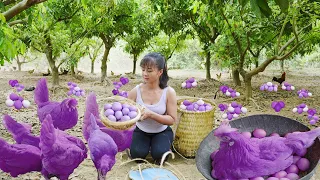 Harvesting Ducks Eggs Goes To Market Sell - Cooking Ducks Egg With Tomato | Tiểu Vân Daily Life