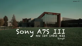 Sony a7s iii | 28MM F2