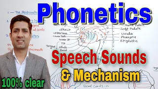 Organs of Speech | Speech Mechanism | Phonetics | organs of speech in english