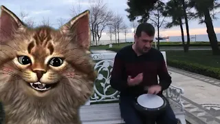 Original Cat Vibing To Levan Polkka - Bilal Göregen
