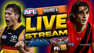 ADELAIDE vs ESSENDON | 2024 Round 6 AFL Live Stream @marmalade_aus