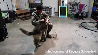 Retired military dog reunited with handler after five years