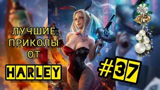 Лучшие приколы 2021 до слёз от Harley #37 ЯНВАРЬ