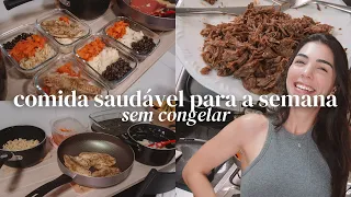 COMO ORGANIZO O ALMOÇO PARA A SEMANA TODA | como comer bem todos os dias sem gastar muito tempo