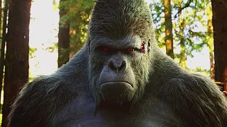 The Flash 9x05 Barry decides to meet Grodd Scene