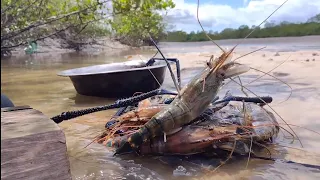 CAMARÃO PITU E PESCARIA DE TARRAFA NO MANGUE SÊCO.