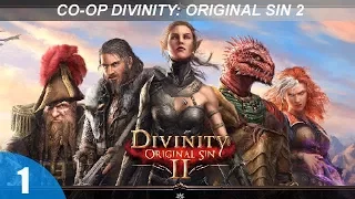 Кооператив Divinity: Original Sin 2 - Новое начало- #1 (16+)