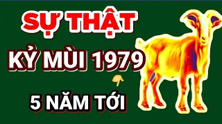 ☯ Chấn Động Sự Thật Bất Ngờ 5 Năm Tới KỶ MÙI 1979 Phật Độ HẾT KHỔ ĐỔI ĐỜI CỰC GIÀU