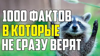 1000 ФАКТОВ В КОТОРЫЕ НЕ СРАЗУ ПОВЕРИТЕ