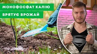 СУПЕРГЕРОЙСЬКЕ ДОБРИВО | Користь та правильне застосування МОНОФОСФАТ КАЛІЮ | Agro-Market.ua