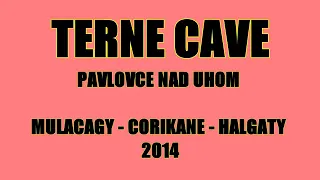 TERNE CAVE   MULACAGY CORIKANE HALGATY 2014