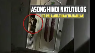 BAKIT KAYA HINDI NATUTULOG ANG ASONG ITO? NGUNIT ITO PALA ANG TUNAY NA DAHILAN