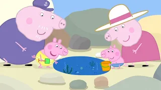 Świnka Peppa | Baseny skalne | Bajki Po Polsku | Peppa po Polsku