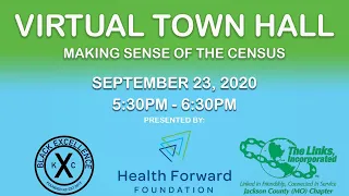 Virtual Town Hall: Making Sense of the Census