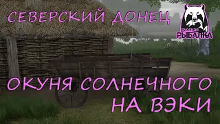 Русская рыбалка 4. Северский Донец. Фарм. Спиннинг. Ультралайт. Окунь солнечный. Вэки.