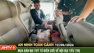 An ninh toàn cảnh ngày 12/5: Triệt phá đường dây vận chuyển hơn 6000 viên ma túy tổng hợp | ANTV