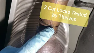 Cat Locks tested by Thieves