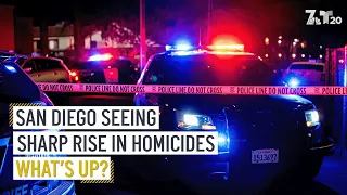 San Diego Seeing Sharp Rise in Homicides | What’s Up | NBC 7 San Diego