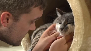 Homeward Pet 'Mutual Rescue' Adoption Stories