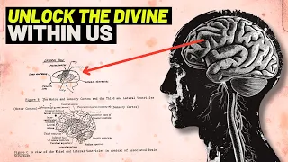 Brain Theory REVEALS YOU ARE GOD!