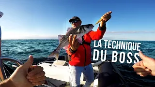 Le roi du bar au leurre de surface ! - BAM! #15 - Pêche du bar en top water