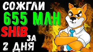 СОЖГЛИ 600 МИЛЛИОНОВ | СЖИГАНИЕ SHIBA | SHIBA INU | ШИБА ИНУ | | СОЖГЛИ ШИБУ | КРИПТОВАЛЮТА | ТОКЕН