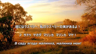 【和訳付き】カリンカ（ロシア民謡）"Калинка" -  カナ読み有