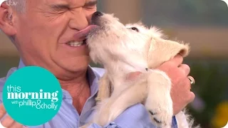 Holly And Phillip Meet The Brand New This Morning Puppy! | This Morning