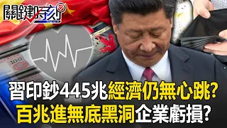 [ENG SUB]Xi Jinping printed 445 trillion yuan of money but the economy still has no heartbeat?