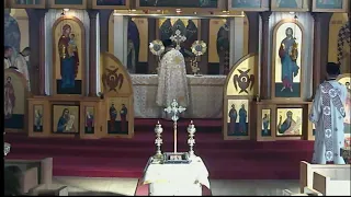 Divine Liturgy - November 8, 2020