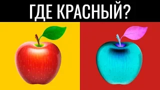 ТОЛЬКО ГЕНИЙ ПРОЙДЕТ ЭТОТ ТЕСТ ЗА 20 СЕКУНД (95% фейлят) / БУДЬ В КУРСЕ TV