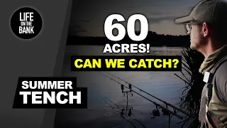 TENCH FISHING IN SUMMER - 60 acres can we catch