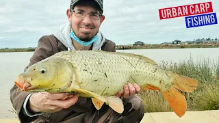 URBAN CARP FISHING FOR BEGINNERS - All you need to know