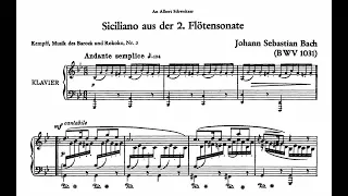 J. S. Bach: Siciliano from the Flute Sonata No.2 (BWV 1031)