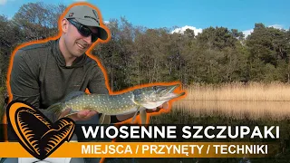 🐣🌼🎣 jak skutecznie łowić wiosenne #szczupak-i ? // #SavageGear