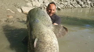 Incredible Huge Catfish 220 pounds in the Night by Catfish World